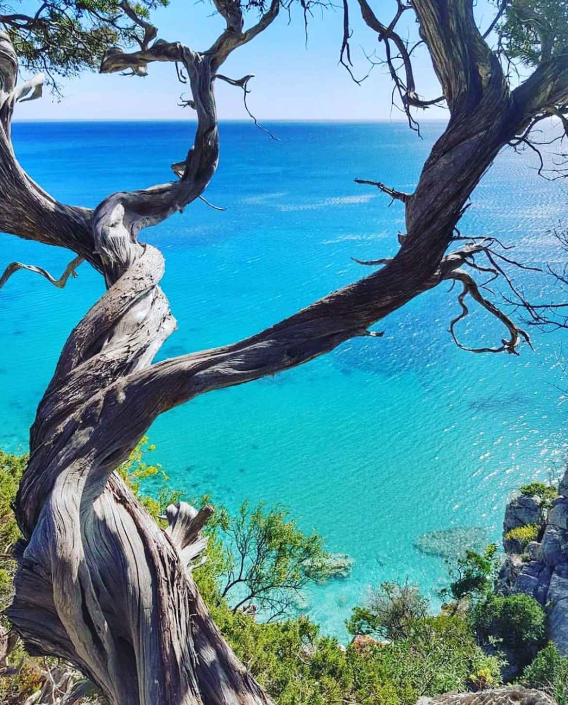 Come arrivare a Cala Luna a piedi: tutto quello che devi sapere 2 trekking-cala-luna